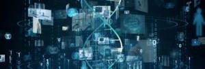 The HIPAA Privacy Rule Simplified
