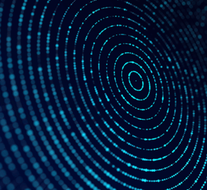 Getting the Sequence Right: Discovery, Categorization, Classification, and Tagging in Data Protection 