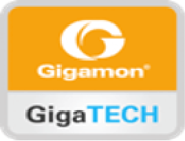 Gigamon Cert